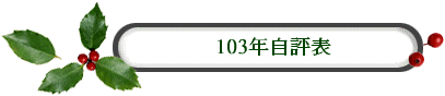 101年自評表