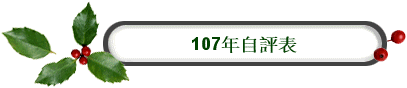 107年自評表